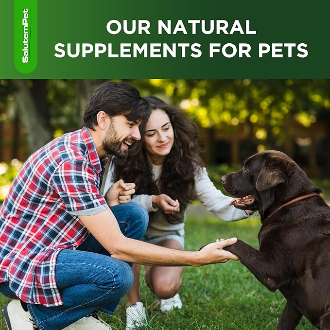 Dog Antibiotics for Infections, Cough, & Itching | Natural Antibiotics for Dogs for All Ages to Promote Wound Healing | Dog UTI Treatment and Tooth Infection Treatment | Chicken Flavor | 2 Oz