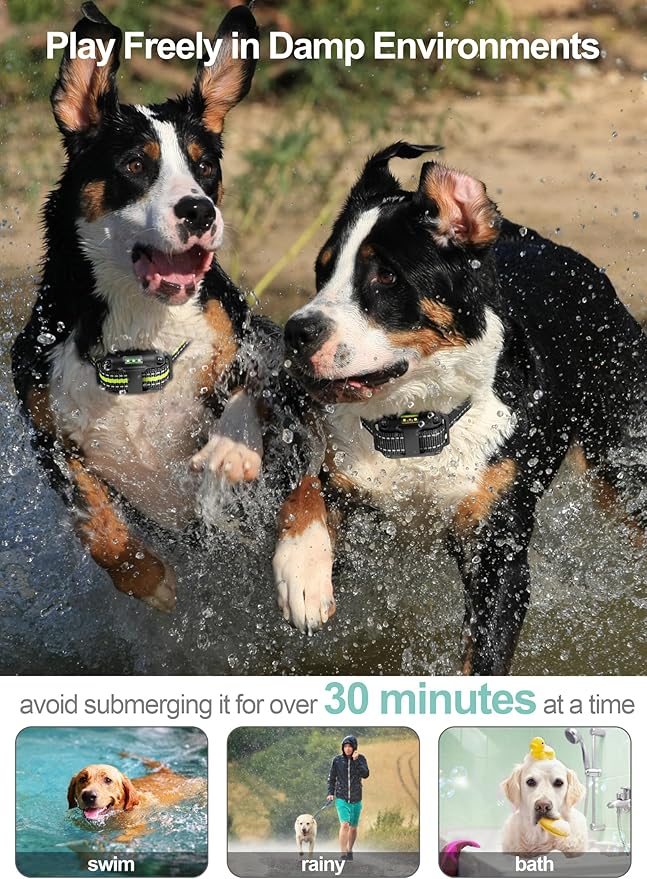 Dog Shock Collar 3 Pack - Dog Training Collar with Remote IP65 Waterproof E Collar for Dogs Training with Shock Vibrate Beep and Light Modes for Small Medium Large Dogs