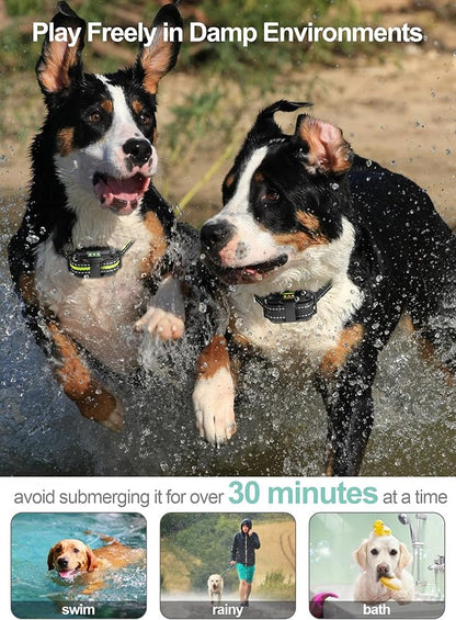 Dog Shock Collar 3 Pack - Dog Training Collar with Remote IP65 Waterproof E Collar for Dogs Training with Shock Vibrate Beep and Light Modes for Small Medium Large Dogs