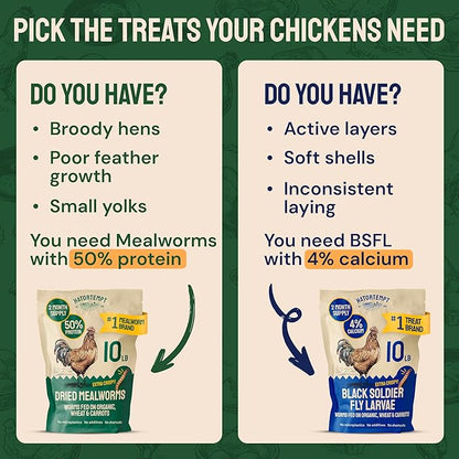 Hatortempt Bulk Dried Mealworms - 10 Lb Bag - Non-GMO Dried Mealworms for Chickens, Ducks & Wild Birds - High-Protein Chicken Feed & Bird Food