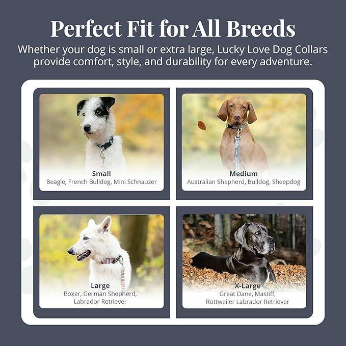 Lucky Love Dog Martingale Dog Collar & Leash - Adjustable, No-Slip, Durable, Comfortable, Soft Webbing, & Stylish Patterned Collar & Leash Set for Male and Female Dogs - Oscar Combo, Small