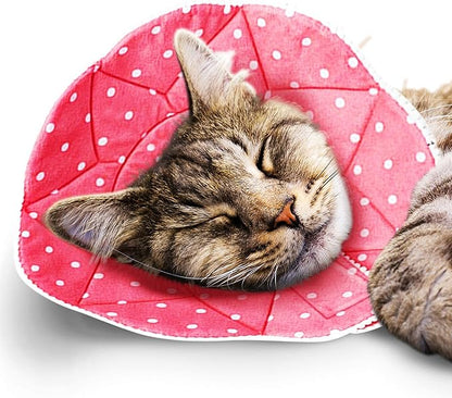 SunGrow Cat Cone Collar Soft Washable, Cat Recovery E Collar Sleep Cone After Surgery to Stop Licking, Pet Cone of Shame Alternatives, Scratch & Bite Proof Grooming Soft Cone for Easy Nail Cutting