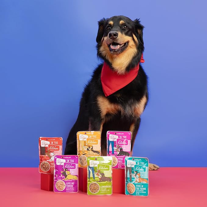 Weruva Dogs in The Kitchen, Variety Pack, Pooch Pouch Party!, Wet Dog Food, 2.8Oz Pouches (Pack of 12)