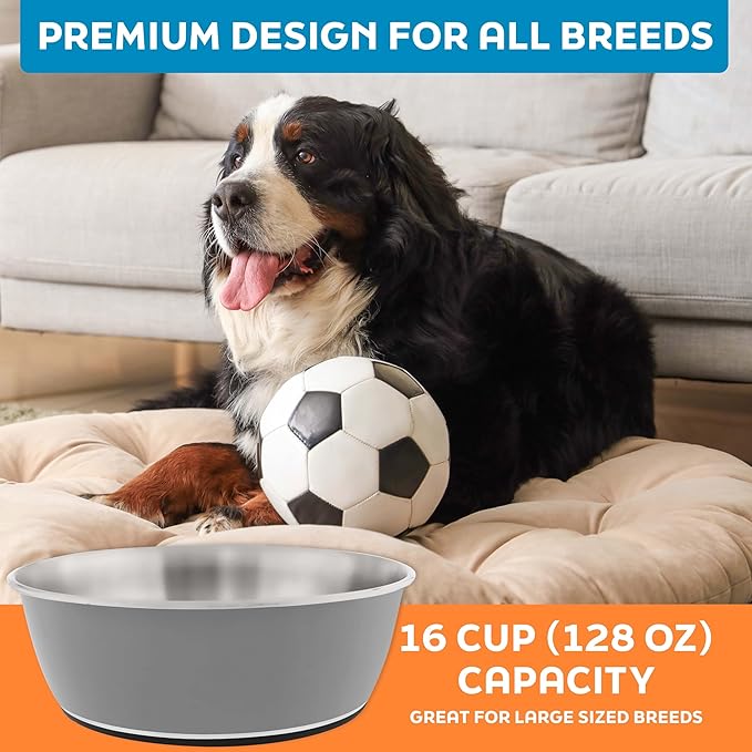 Master Pet Supply Stainless Steel Dog Bowls Set of 2 (128 Oz Each) with Non-Slip Rubber Base - Graphite - Basic Dog Food Bowl Water & Food Bowls for Small Medium Large Dogs & Cats, Metal Dish