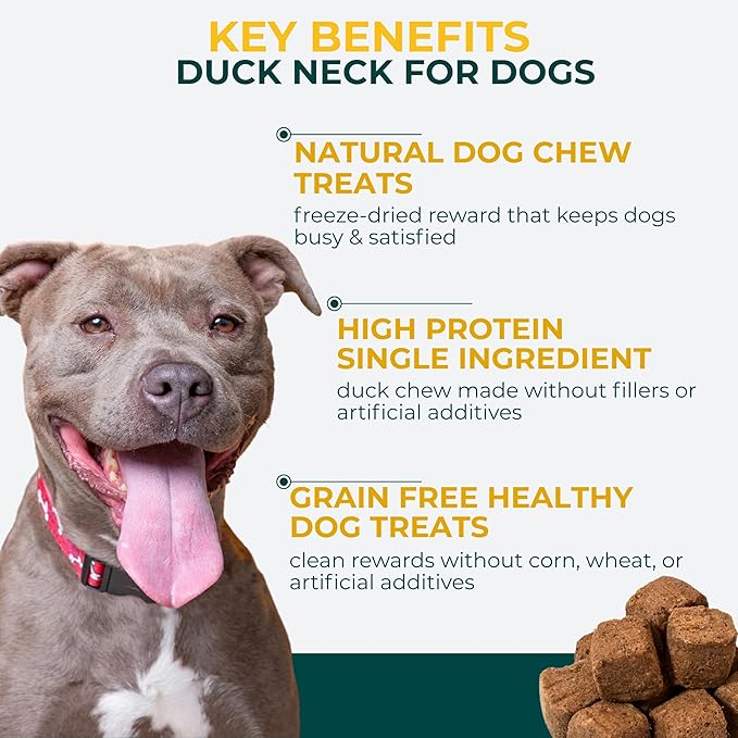 Momentum Carnivore Nutrition Freeze-Dried Duck Neck Dog Treats & Cat Treats – Single-Ingredient, High-Protein, Grain-Free, Natural Crunchy Chew – Made in USA – 3 oz Bag