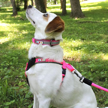 Pawtitas Lumberjack Padded Martingale Collar for Dogs | Soft Neoprene Dog Collar for Your pet's Comfort Made with Reflective Band for Maximum Visibility | Fits Small and Large Pets - Small Pink