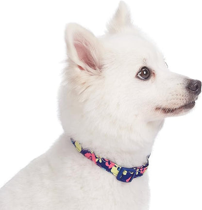 Blueberry Pet Made Well Profound Floral Print Adjustable Dog Collar in Navy Blue, X-Small, Neck 7.5"-10"
