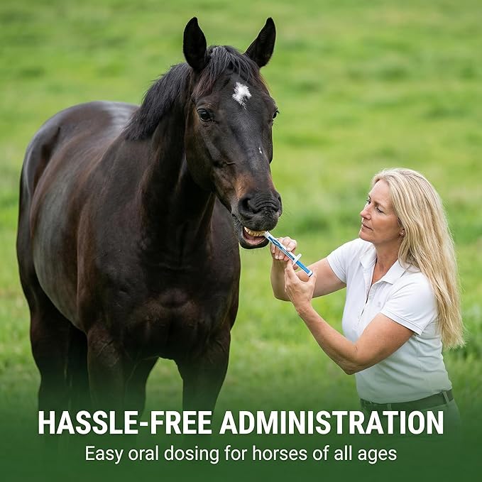 Ivermectin Horse Paste 1.87% – Apple Flavored Oral Dewormer for Horses, 6-Pack