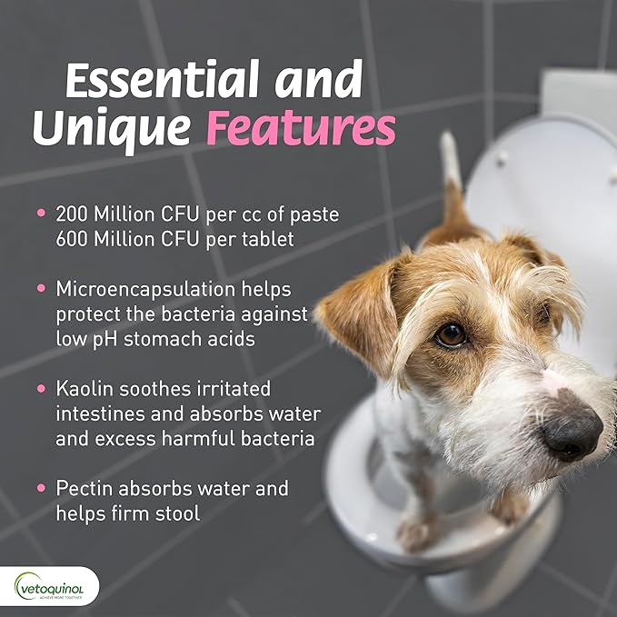 Vetoquinol Pro-Pectalin Chewable Tablets for Dogs & Cats, Helps Relieve Occasional Diarrhea, Situational Diarrhea Relief with Kaolin and Pectin, Contains Beneficial Probiotic Bacteria, 250 ct