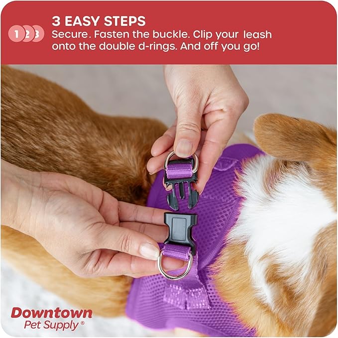 Downtown Pet Supply Step-in Dog Harness – No Pull, Adjustable Padded Mesh with Reflective Trim, Secure Buckle Strap – Comfortable & Breathable Small Dog Harness, Smal, Purple