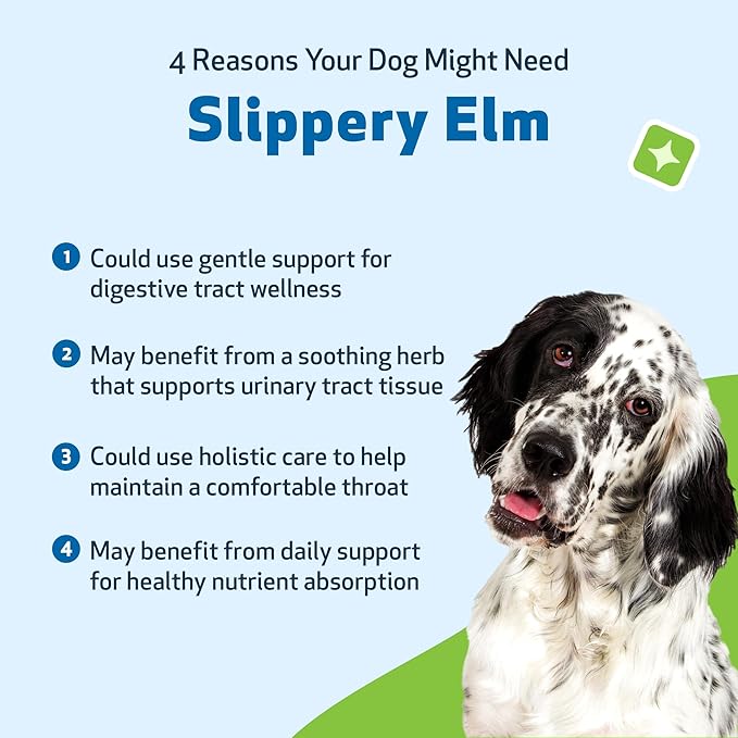 Pet Wellbeing Slippery Elm for Dogs - Vet-Formulated Dual Digestive & Throat Support - Organic Single Herb Extract - Holistic Soothing Dog Supplement - Liquid Formula 2 oz (59ml)