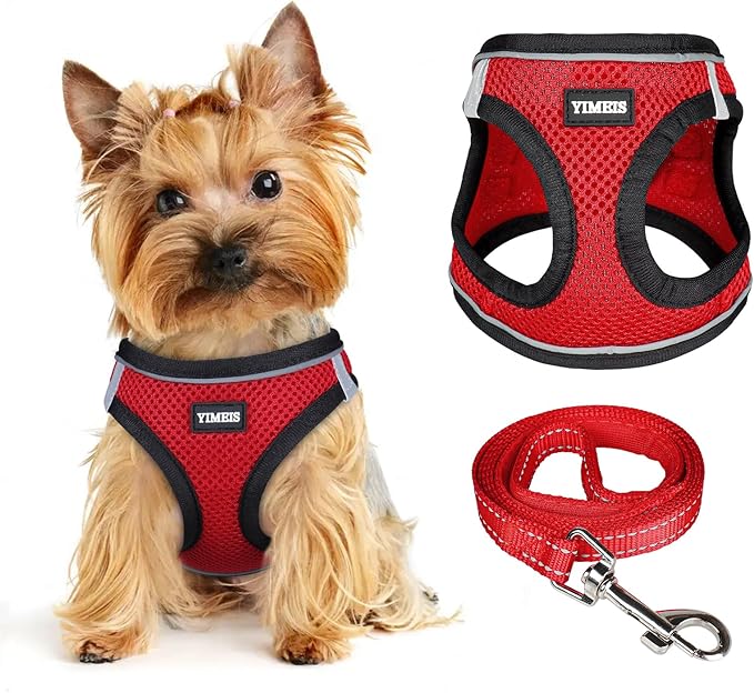 Dog Harness for Small Dogs and Leash Set, Honeycomb Grid, Reflective Lightweight Harness & Anti-Twist Pet Lead Multi Color, Size: XS-S-M. (XS, Black & Red)