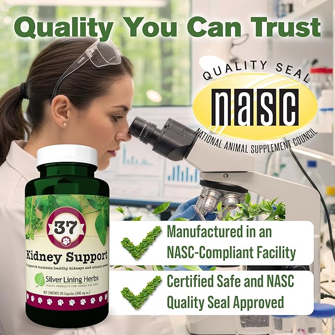 Silver Lining Herbs Kidney Support for Dogs – Natural Herbal Canine Kidney Cleanse & Bladder Support Supplement with Cranberry & Astragalus - Urinary Tract Health & Renal Vitamins – 90 Capsules