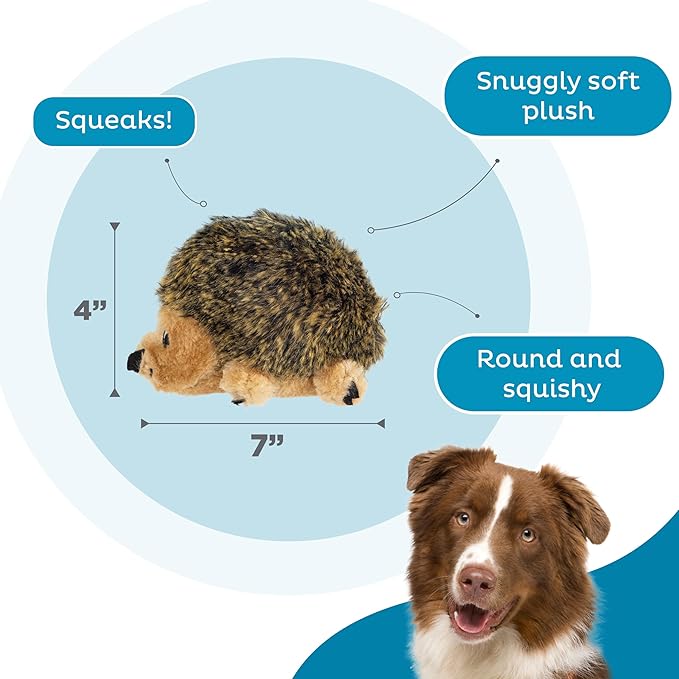 Outward Hound Hedgehogz Stuffed Dog Toy – Soft Plush Hedgehog, Squeaks, 6" x 4" x 4.5"