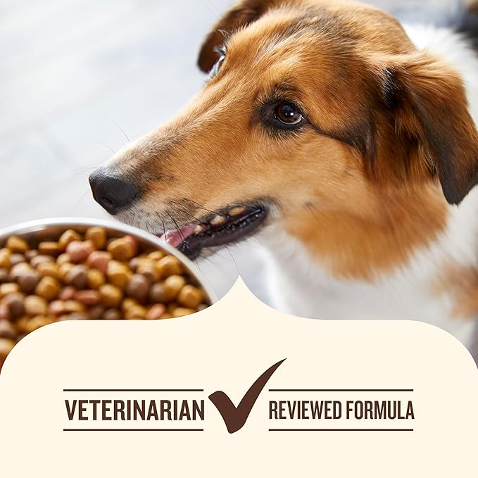 Nutrish Real Beef & Veggies Recipe Whole Health Blend Chunks in Gravy Wet Dog Food, 13 oz. Can, 12 Count, Packaging May Vary (Rachael Ray)
