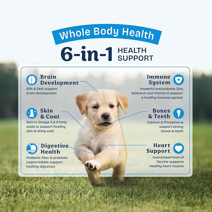 Natural Balance Health Protection Puppy Dry Dog Food – Whole Body Health, Easy on Digestion Dog Food Made with Chicken, Brown Rice & Pumpkin for Puppies - 4lbs.