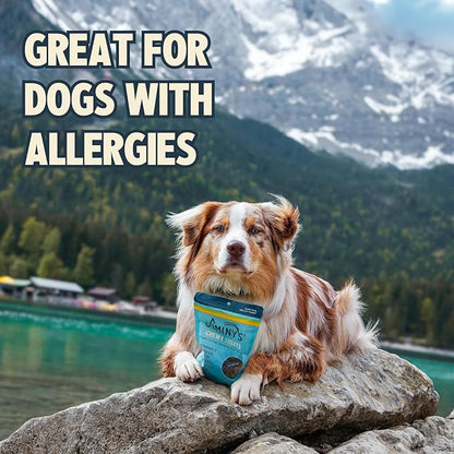 Jiminy's Chewy Training Treats for Dogs, Low Calorie, Hypoallergenic Insect Protein, Made in USA, 6oz, Peanut Butter & Cranberry (Pack of 1)
