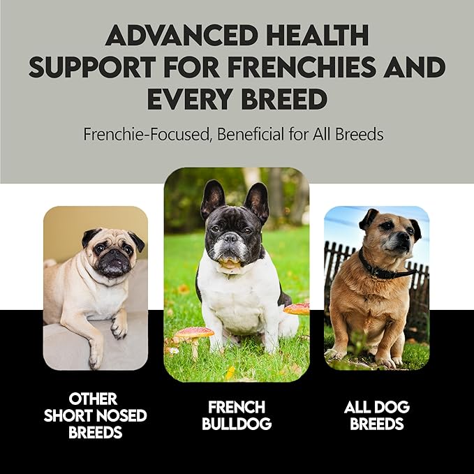Mushroom Supplement for Dogs – Turkey Tail Mushroom for Dog Immune Support, Digestion, Allergies & Longevity with Omega3 & Turmeric | for Dogs Lumps and Bumps | French Bulldog Optimized
