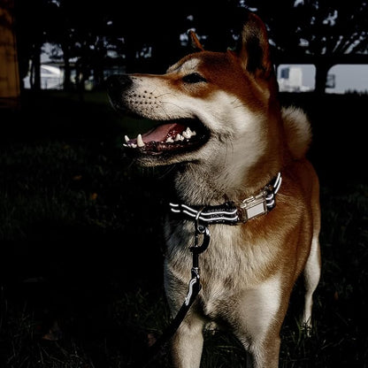 Reflective Dog Collar for Large Dogs Mesh Padded Large Dog Collar, Adjustable Pet Collar with Quick Release Buckle, Durable Breathable &Fade Resistant-Purple