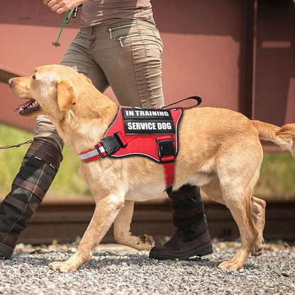 Service Dog Vest Harness and Leash Set+10 Patches,No Pull&Adjustable Reflective Dog Harness with Soft Padded Handle for Training/Everyday,Fit Small/Medium/Large/Extra-Large Dogs (Red S)