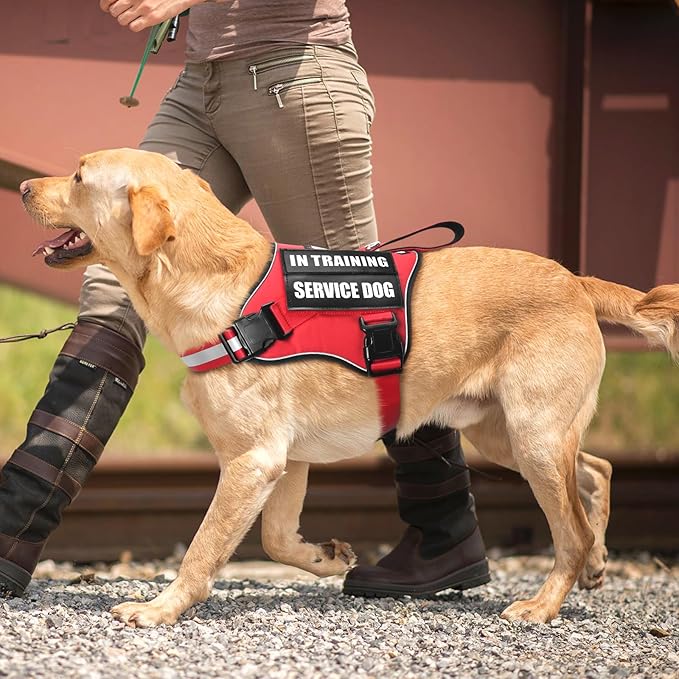 Service Dog Vest Harness and Leash Set+10 Patches,No Pull&Adjustable Reflective Dog Harness with Soft Padded Handle for Training/Everyday,Fit Small/Medium/Large/Extra-Large Dogs(Red XL)
