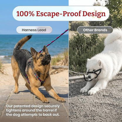 Harness Lead No Pull Dog Harness and Leash Set, Anti Pull Dog Harness, One-Piece Cushioned Rope Safely Prevents Escaping and Pulling (Small/Medium, Pink/Purple)