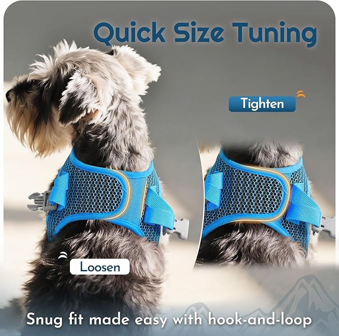 Eagloo Small Dog Harness and Leash Set, Step in Puppy Vest with Breathable Soft Mesh, Walking Reflective Pet Harness for Medium Small Dogs, Blue, M