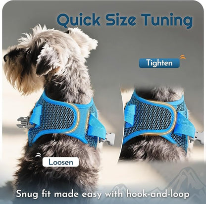 Eagloo Small Dog Harness and Leash Set, Step in Puppy Vest with Breathable Soft Mesh, Walking Reflective Pet Harness for Medium Small Dogs, Blue, M