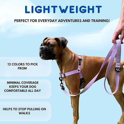 ShawnCo Dream Walk No-Pull Dog Harness- Adjustable, Comfortable, Easy to Use Pet Halter to Help Stop Pulling for Small, Medium and Large Dogs- Art Pattern Designs (Wolf Moon, M)