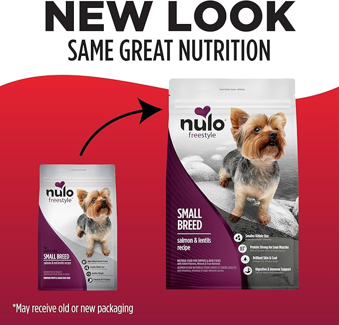 Nulo FreeStyle Small Breed Dog Food Dry - Salmon & Lentils, Puppy & Adult Grain Free Dog Food, Natural, High Protein, Smaller Sized Kibble with BC30 Probiotic for Healthy Digestion Support, 6lb Bag