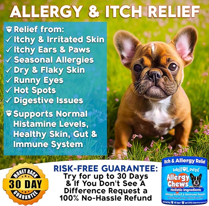 Well Loved Dog Allergy Chews - Dog Allergy Relief, Itching Skin Relief, Hot Spot Treatment & Seasonal Allergies, Vet Developed, Anti Itch Skin Irritation Treatment, Made in USA, 120 Chews