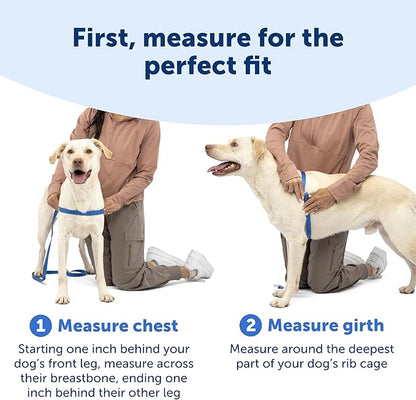 PetSafe Easy Walk Harness for Dogs - Pull-Free Walks - Patented Martingale Loop Design - Front Chest Leash Attachment - Comfort Straps - Breathable Harness Design - Small/Medium, Fawn/Brown
