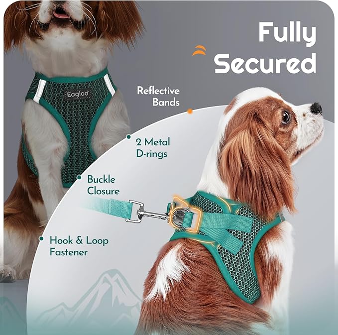 Eagloo Small Dog Harness and Leash Set, Step in Puppy Vest with Breathable Soft Mesh, Walking Reflective Pet Harness for Small Dogs, Forest Green, S