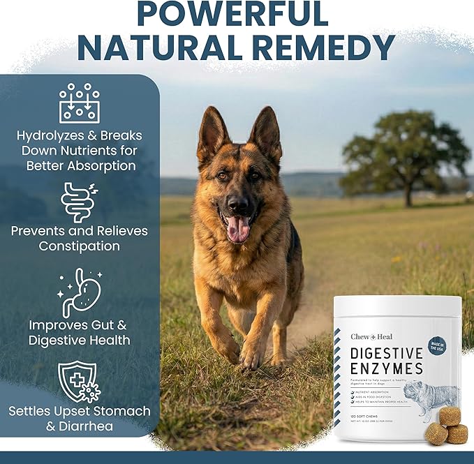 Digestive Enzymes with Probiotics for Dogs - 240 Soft Chews - Supports Healthy Digestive Tract, Helps Nutrient Absorption and Food Digestion - Dog Fiber and Gut Health Supplement (2 Packs of 120)