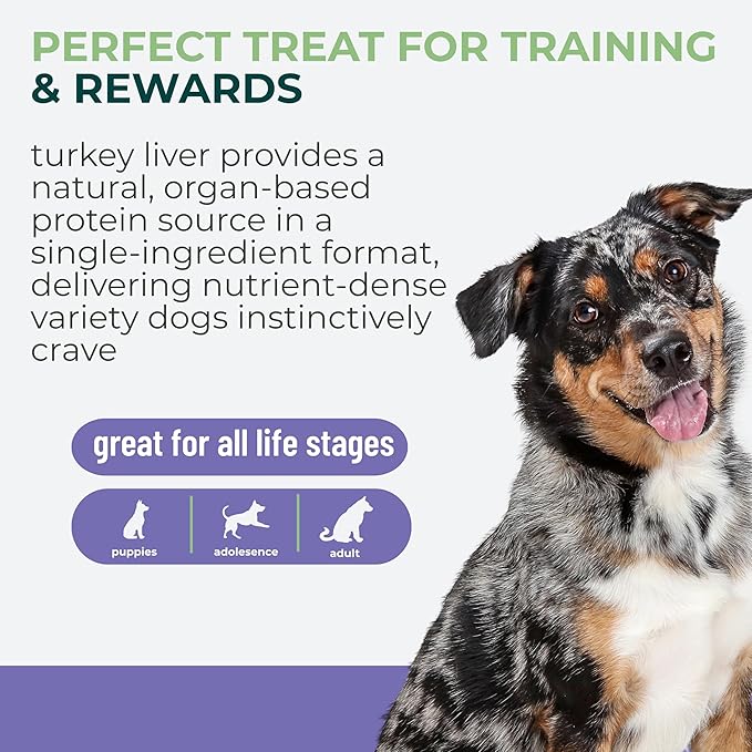 Momentum Carnivore Nutrition Freeze-Dried Turkey Liver Dog Treats & Cat Treats – Single-Ingredient, High-Protein, Grain-Free, Naturally Flavorful & Lean – Made in USA – 3.5 oz Bag