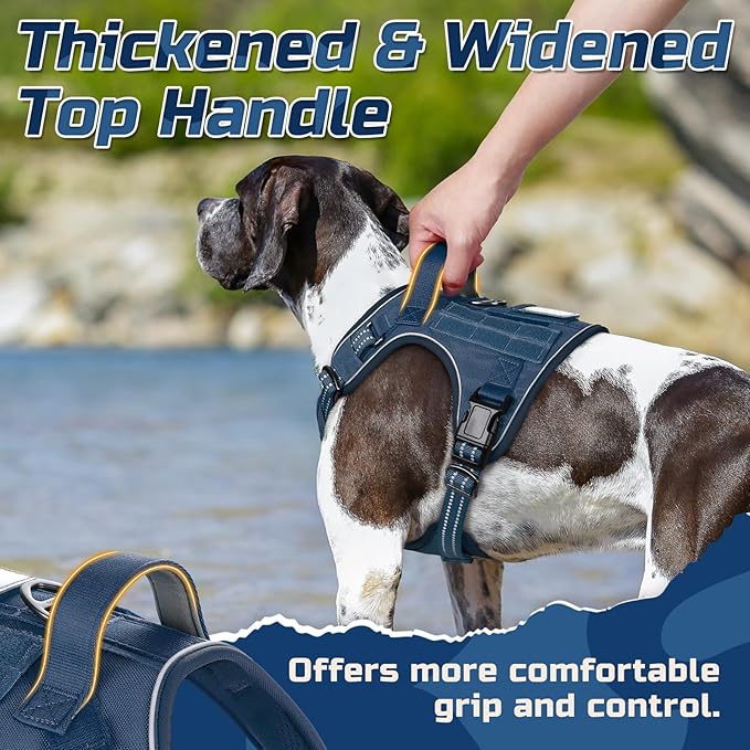 rabbitgoo Tactical Dog Harness for Small Dogs, No Pull Military Service Vest with Handle & Molle, Easy Control for Training Walking, Adjustable Reflective Straps, Blue, S