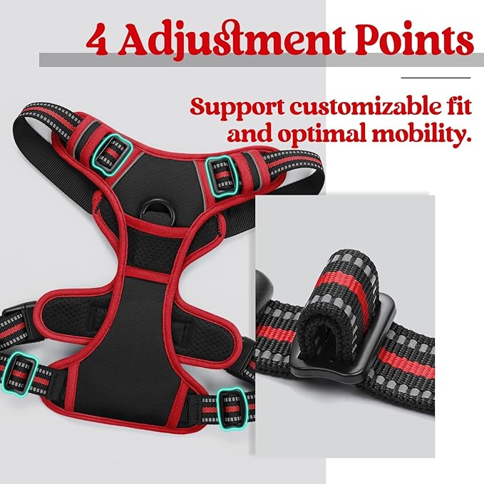 rabbitgoo Dog Harness No Pull with 2 Leash Clips, Adjustable Soft Padded, Reflective Oxford No Choke Pet Vest with Easy Control Handle for Large Dogs, Black & Red, L