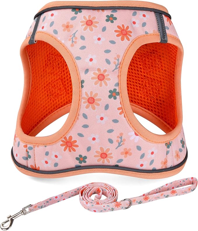 Mihqy Step in Dog Harness and Leash Set, Reflective Adjustable No Pull Dog Harness for Small Medium Dogs Puppy and Cats, Soft Padded Mesh Vest Harnesses for Girl and Boy Pets(Orange Floral,L)