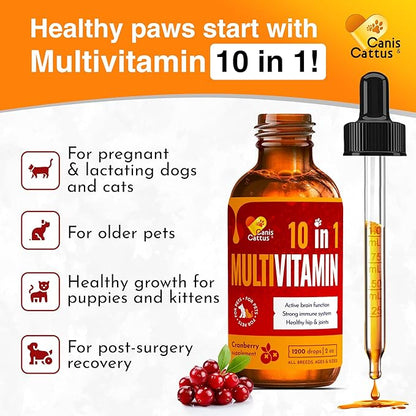 Liquid Cat & Dog Vitamins – Dog Antibiotics for All Pets – Bundle of 10 in 1 Cat & Dog Multivitamin + Antibiotic Supplement – Cough, Allergy, Sneezing, Joint Care – Vitamin C, D, B – Bottle Set x 2 oz