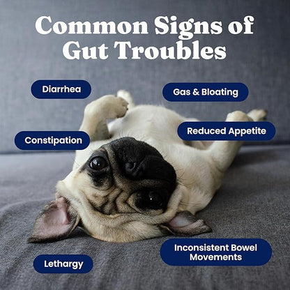 Solid Gold Dog Probiotics for Digestive Health - Probiotics for Dogs with Fiber & Digestive Enzymes for Bowel Support & Gut Health - Bacon Flavor Soft Chews to Support Digestion for All Ages - 120ct