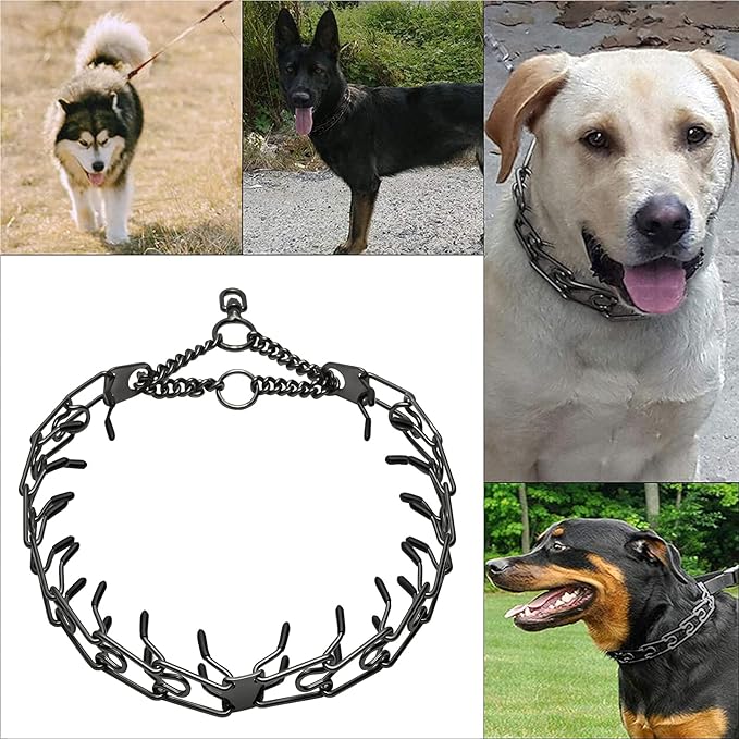 Stainless Steel Prong Pinch Collar for Dogs, Adjustable Training Collar with Quick Release Buckle for Small Medium Large Dogs (Gold, 22")