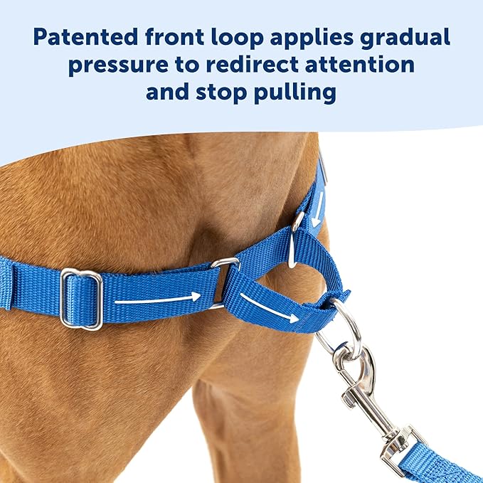 PetSafe Easy Walk Harness for Dogs - Pull-Free Walks - Patented Martingale Loop Design - Front Chest Leash Attachment - Comfort Straps - Breathable Harness Design - Medium/Large, Apple Green/Gray