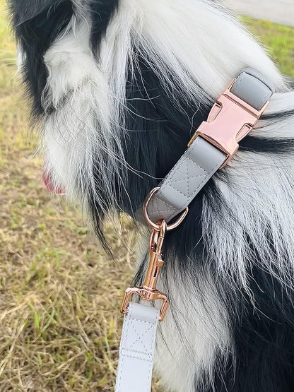 Dog Collar and Leash Set.Soft and Easy to Clean Vegan Leather with Rose Gold Metal Buckle for Small Medium Large Dogs (Grey, M(13.8"-19.7"))