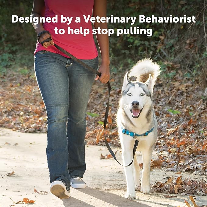 PetSafe Easy Walk Deluxe Dog Harness, No Pull Dog Harness – Perfect for Leash & Harness Training – Stops Pets from Pulling and Choking on Walks – Medium/Large, Steel