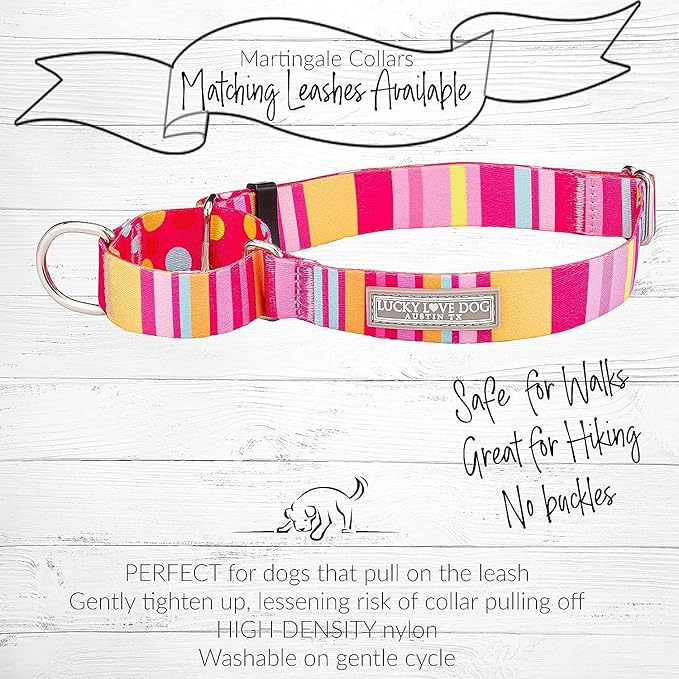 Lucky Love Dog Martingale Dog Collar & Leash - Adjustable, No-Slip, Durable, Comfortable, Soft Webbing, & Stylish Patterned Collar & Leash Set for Male and Female Dogs - Molly Combo, Small