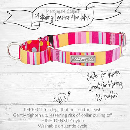 Lucky Love Dog Martingale Dog Collar & Leash - Adjustable, No-Slip, Durable, Comfortable, Soft Webbing, & Stylish Patterned Collar & Leash Set for Male and Female Dogs - Molly Combo, Large