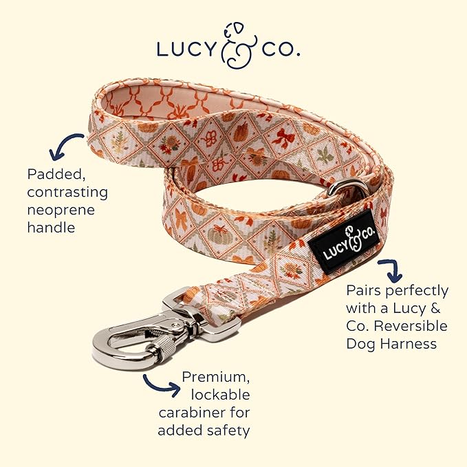Lucy & Co. 5 Foot Designer Dog Leash for Small, Medium or Big Dogs or Puppies Puppy – Pet Accessories & Supplies- Large-Orange Cream Pumpkin