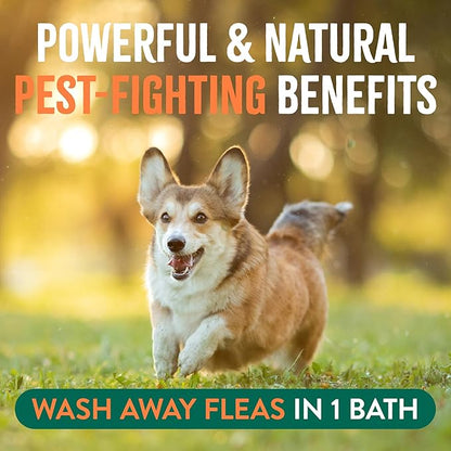 TropiClean Soothing Flea and Tick Shampoo for Dogs, Powerful & Natural Defense, for Large & Small Dogs, Made in USA, 20oz
