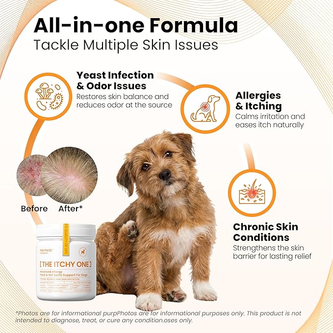PAWPULSE FORMULA Dog Allergy Relief Chews, Itching Skin Relief for Yeast, Redness and Hotspots, Support Immune and Seasonal Allergy with Probiotics & Omega-3, 90 Chews