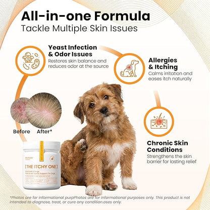 PAWPULSE FORMULA Dog Allergy Relief Chews, Itching Skin Relief for Yeast, Redness and Hotspots, Support Immune and Seasonal Allergy with Probiotics & Omega-3, 90 Chews
